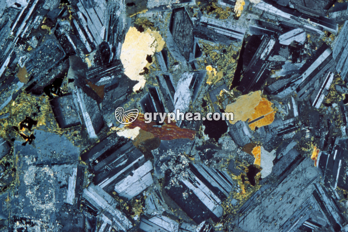 Gabbro LPA x4 - gryphea.com